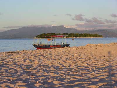Beachcomber