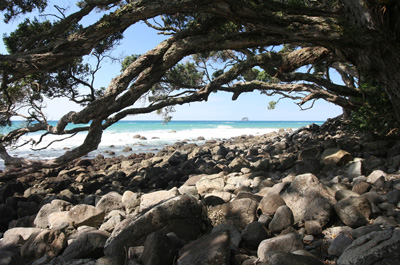 Hot Water Beach