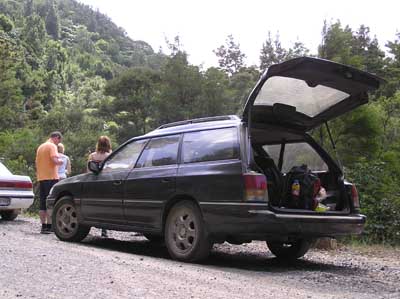 Coromandel Forest