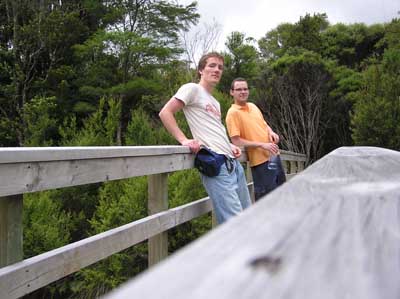 Coromandel Forest