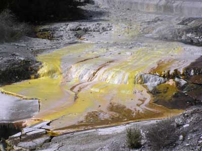 Whakarewarewa