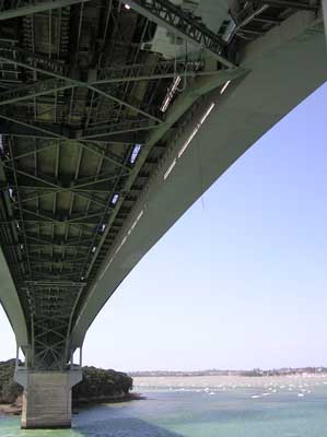 Bungee